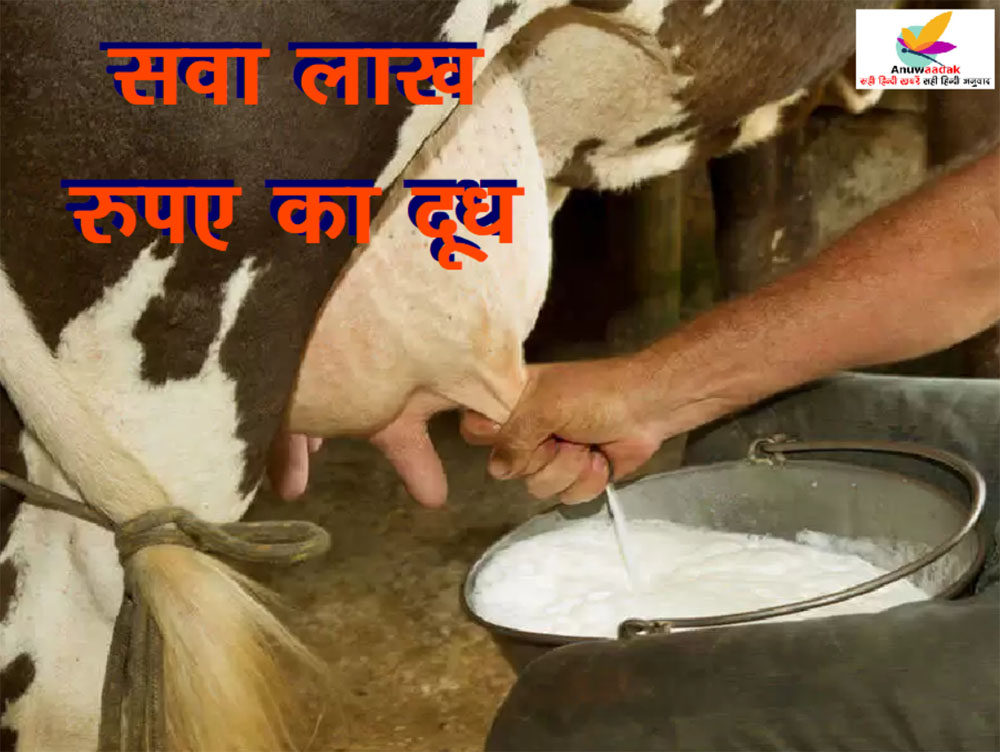 Milk Smuggling में बरामद केवल दो किलो दूध की कीमत कर देगी हैरान, पुलिस ने यहां से किया शख्स को गिरफ्तार